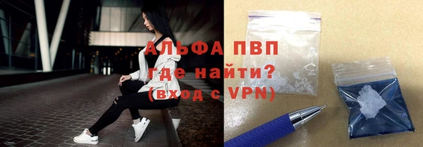 стаф Абаза