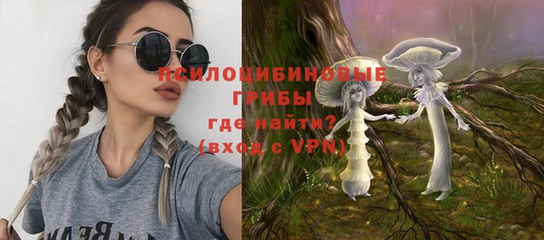 стаф Абаза