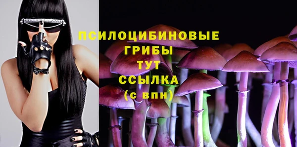 стаф Абаза
